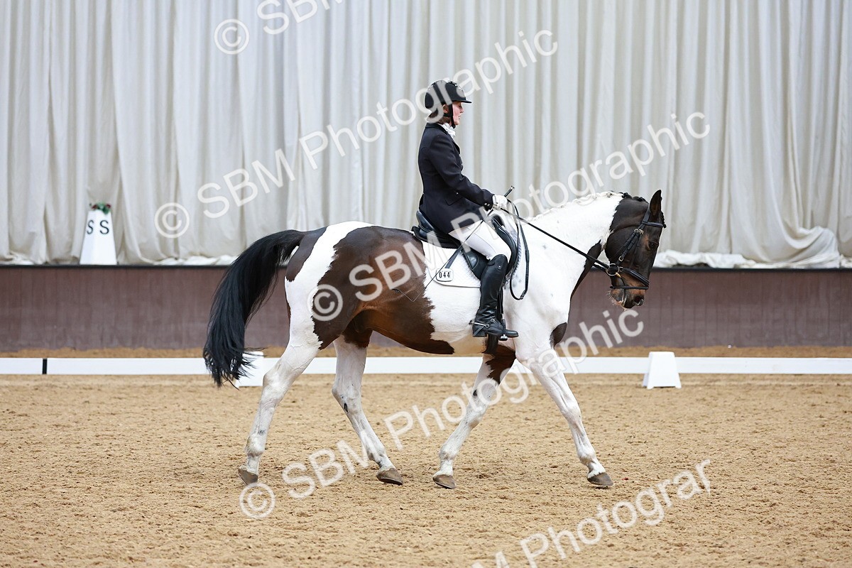 SBM_003542 - Class 15-16-18 - Novice 3-Elementary 1-PYO