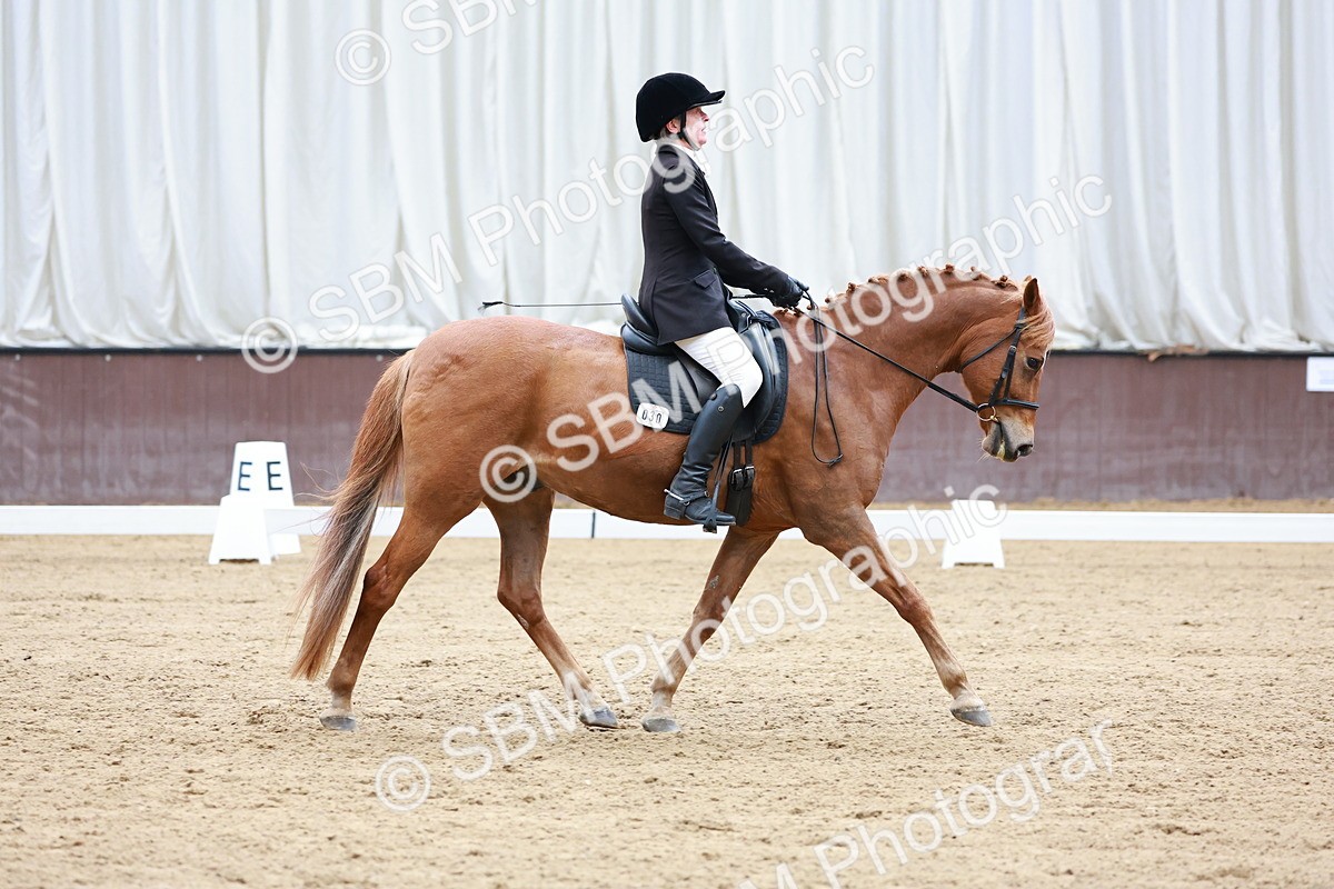 SBM_007560 - Class 7 - N2