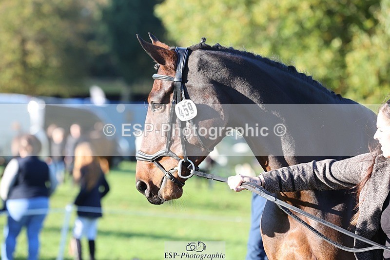 241027-085307-14874 - 459-Rachael.Hardman-I.M.ALL.YOU.WANT