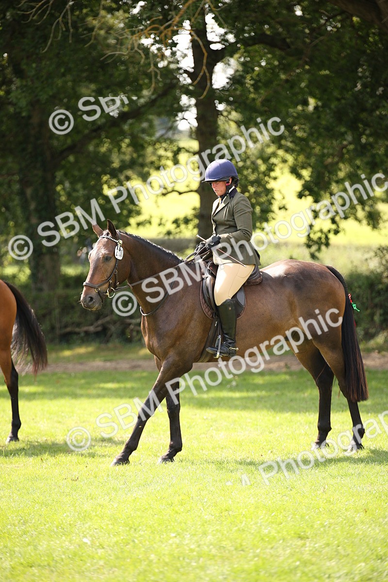 SBM_65982 - S64 - Riding Horse & Hack & Thoroughbred Ridden