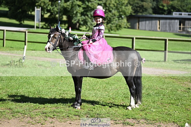 240728B-094440-00110 - Sunday Stable Shots and Fancy Dress