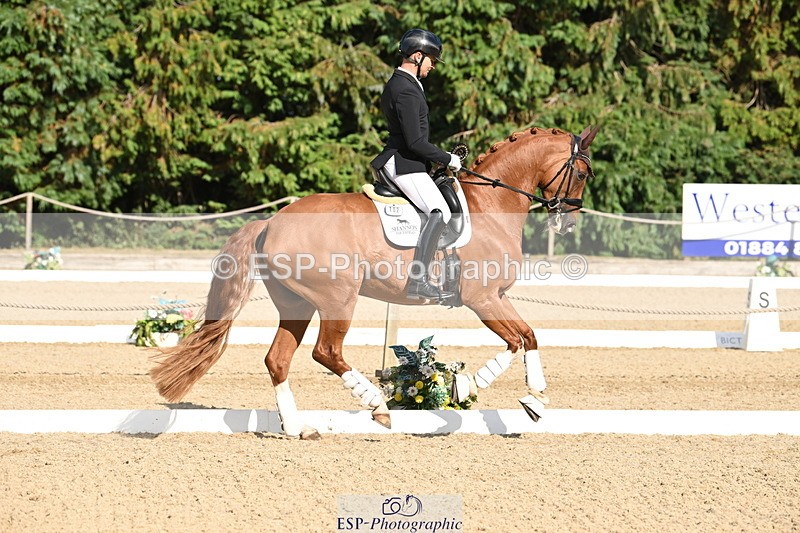 250808A-170429-02241 - Preliminary GOLD Presentations