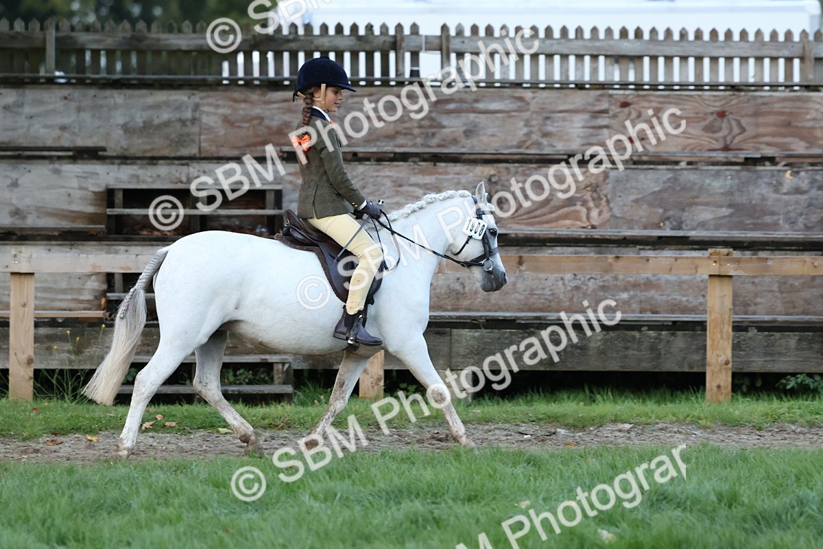 SBM_53438 - Super Supreme Championship (Sat)