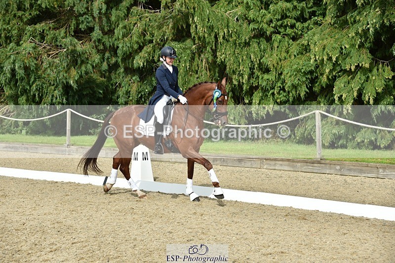 230812-160326-05344 - FEI PSG Bronze Presentations