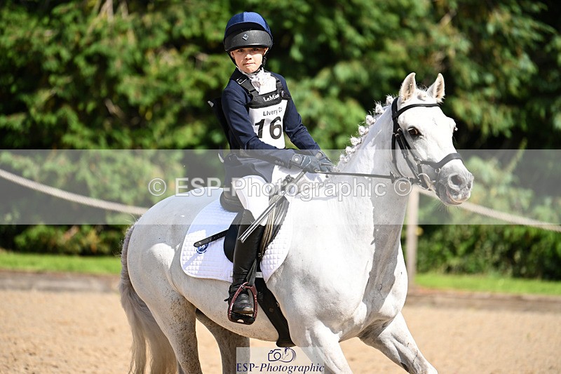 240824X-151013-29600 - 80cm Round 2 14.30 to 15.30