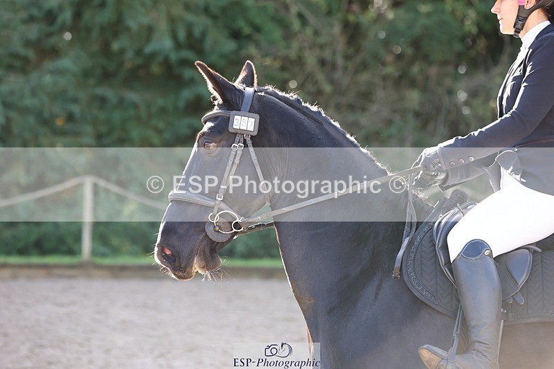 241027-111536-16665 - 357-Eleanor.Newcombe-MR.DARCY