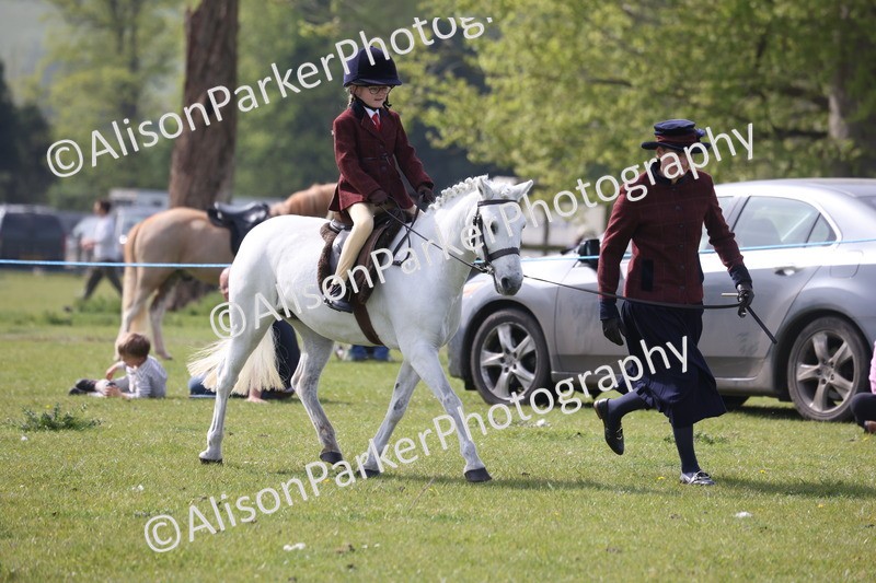20260426-2559 - Class 31 - Leading Rein