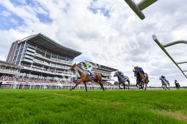 240824-Race 3-Breege-4525 - Race 3 3.00pm Sky Bet City Of York Stakes