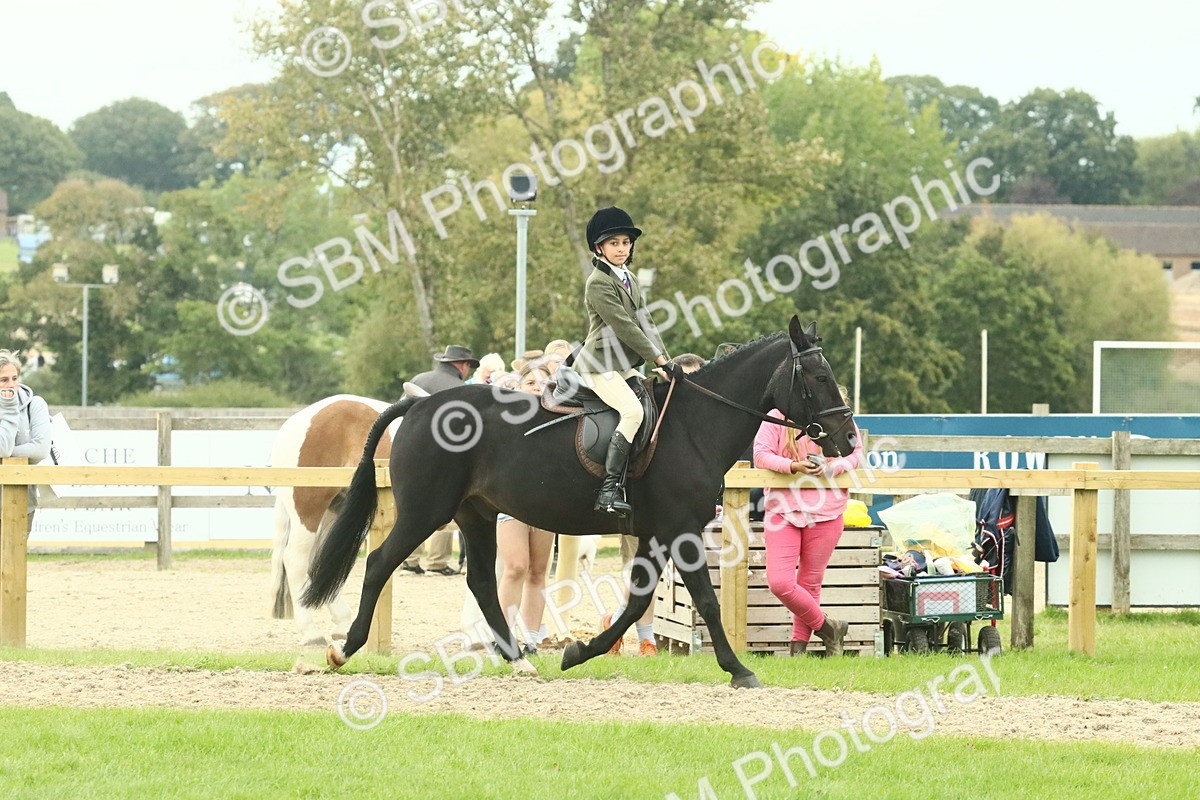 SBM_73979 - S 61 - Show Pony & Show Hunter Pony Ridden