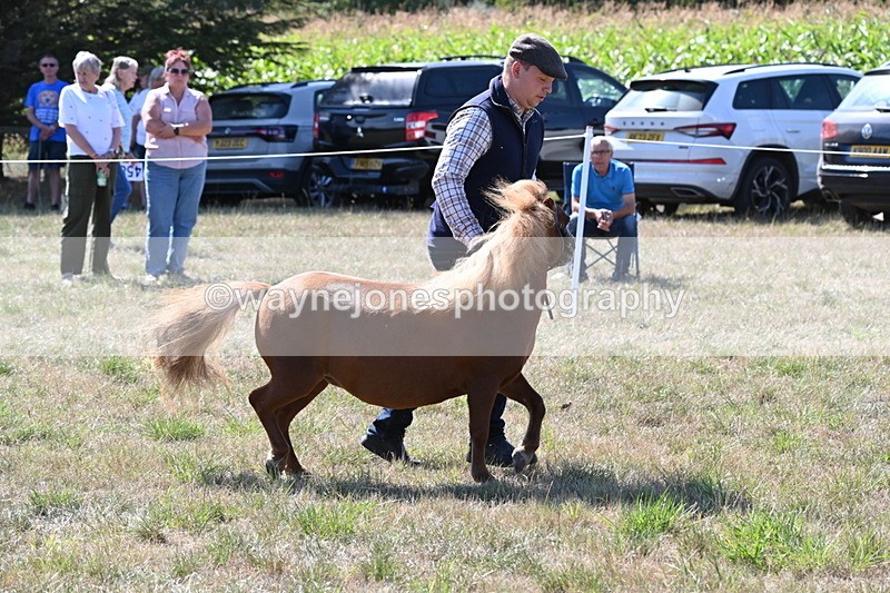 WJ6_4788 - Class 17 Mountain & Moorland