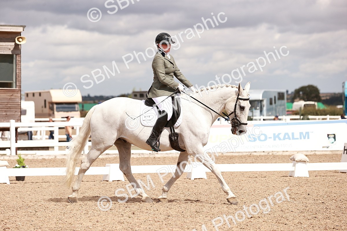 SBM_06308 - Class 37 - Novice 5