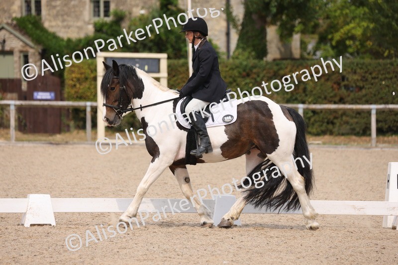 20250819-1331 - Class 4 - Novice 2