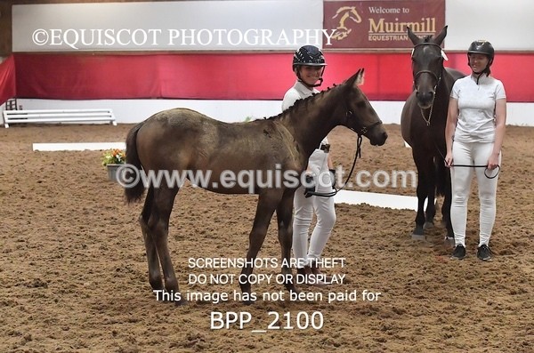 BPP_2100 - AFTERNOON 12.30 - 3.30PM