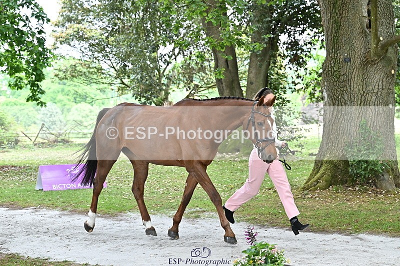 250521A-144644-00229 - A-056-Ivy.Fisher-BALIEF.DE.REVE