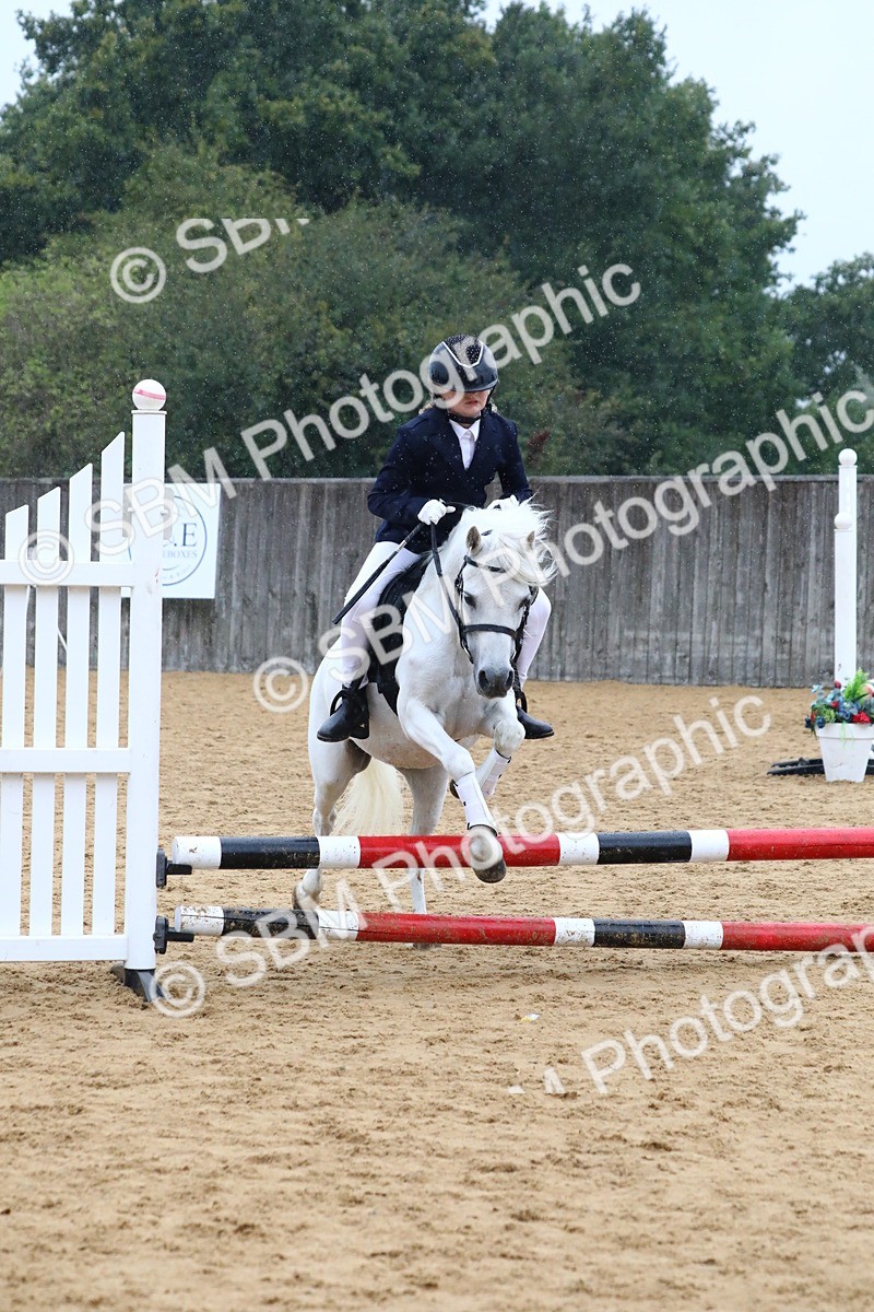 SBM_71445 - J4 - Mini Tour Junior Pony 45cm Championship