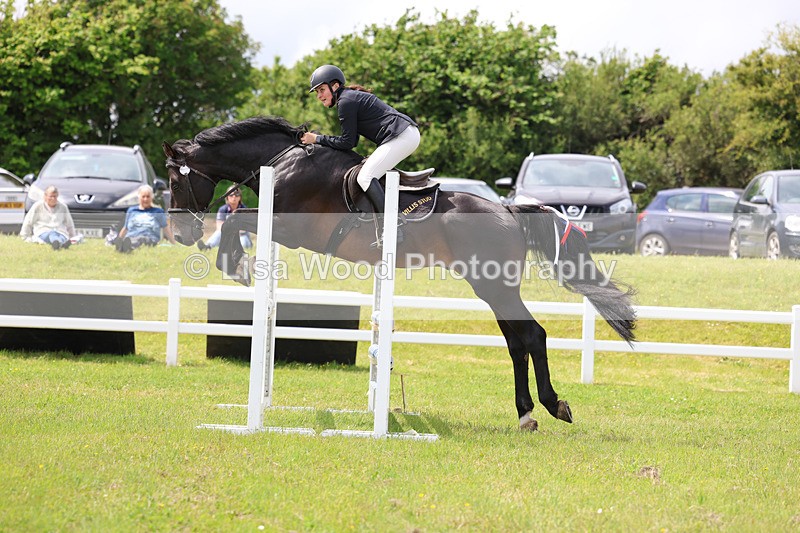 3E7A7466 - Class 13: Senior British Novice/90cm open