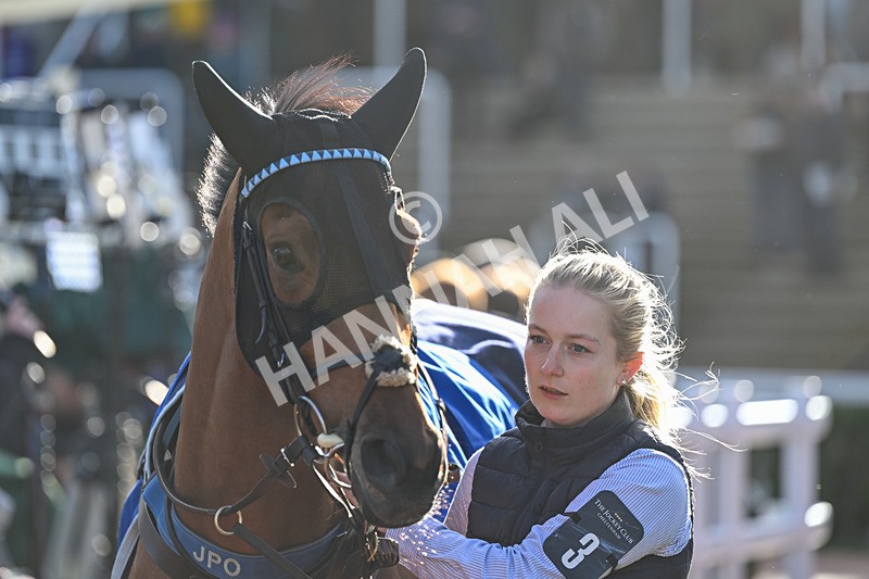 251025-Race 5-Hamlets Night-9287 - Race 5