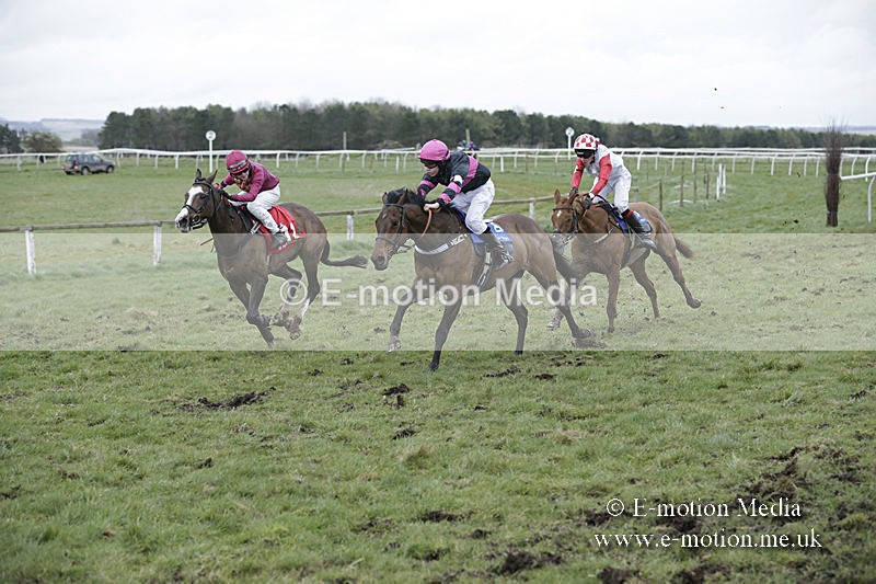 PtP 150320 0871 - New Forest Point-to-Point Larkhill 15/03/20