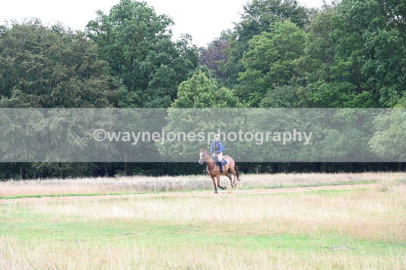 DSC_3807 - Time at Statue 13:51 to 14:55