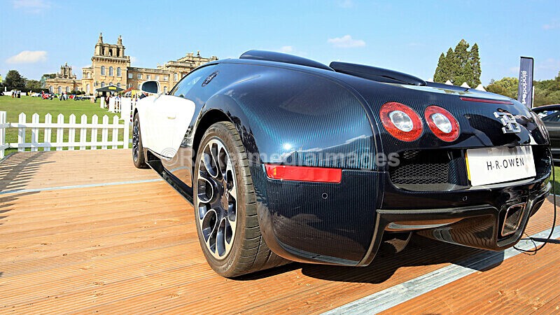 Pete Wilson Salon Prive-176 - Salon Prive SEPT 2020