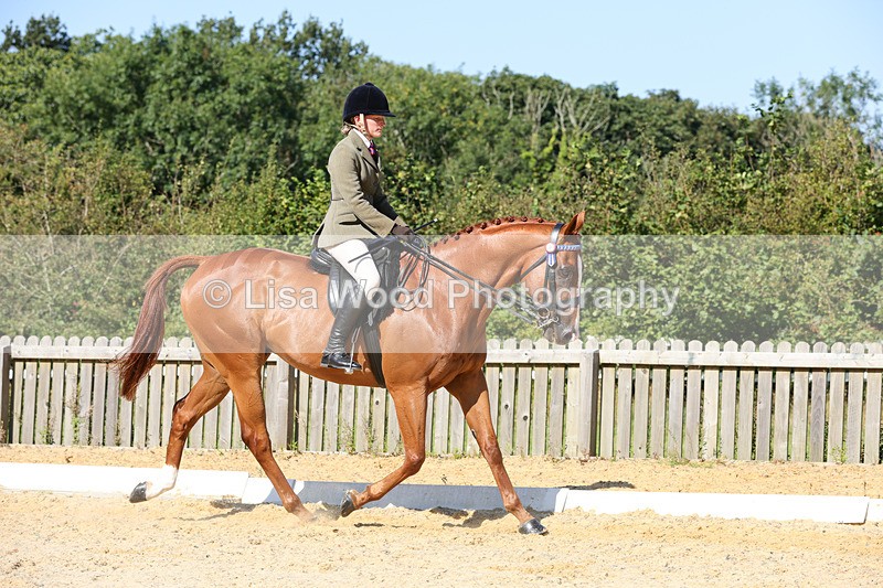 1X9A7865 - Class 10:Riding Horse