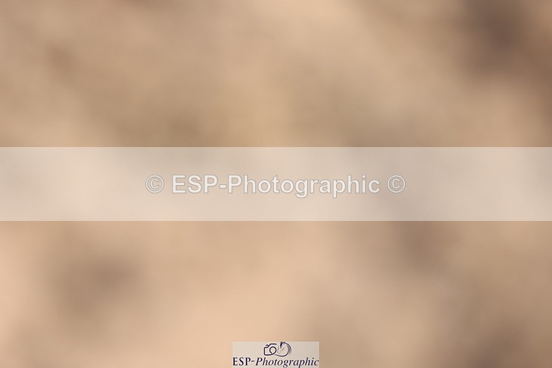 240622A-084622-06948 - Cls 24 BD Prelim 15