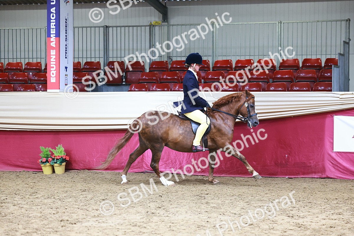 SBM_23270 - Class 904 - Supreme Final - Ridden Diamond