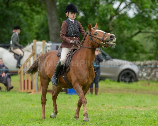 Dunblane show-96 - Dunblane and Doune Show Ring 1