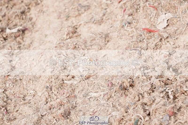 250503-103852-00503 - Cls 19+20 Club and Schools 70cm