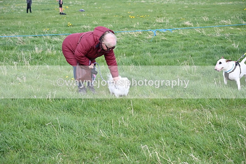 WJ6_8006 - Class 2 Best Pedigree