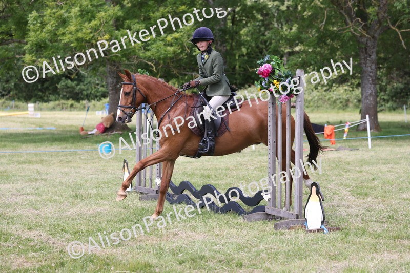 20260614-1859 - Class 21 - Novice Working Hunter Pony