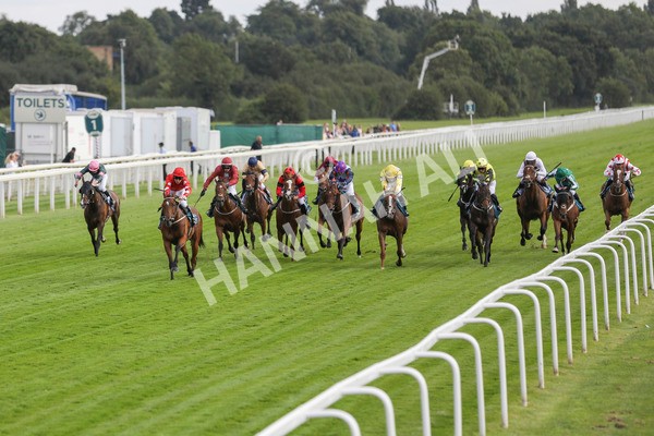 280723-Race 1-Tele Red-2645 - Race 1 5.00pm Pearly Cow Handicap