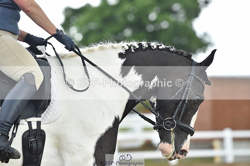 250622-124210-14587 - Quest Cls 31-35 Novice Tests