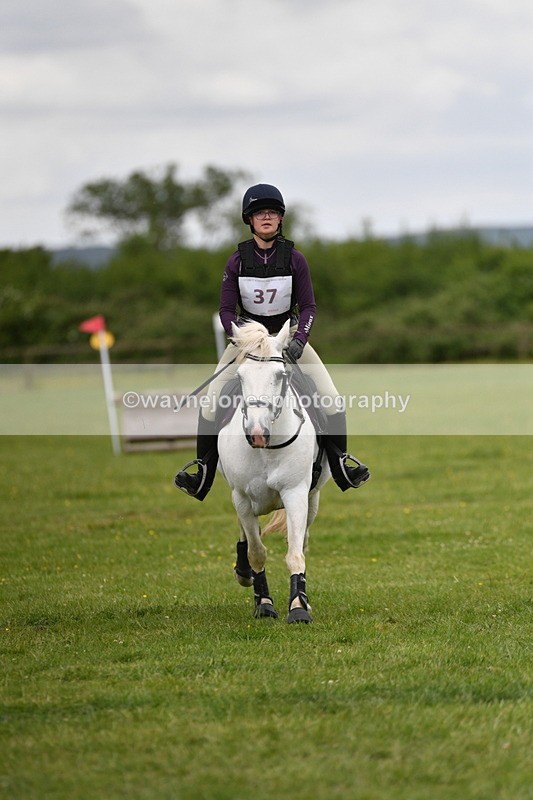 WJ5_3586 - Class 6 80cm