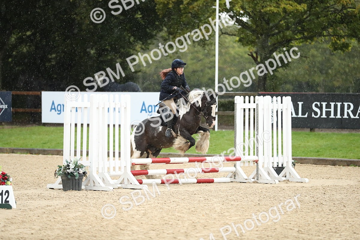 SBM_34464 - J60 Clear Round 50cm