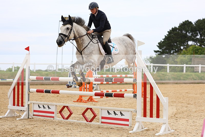 3E7A9679 - Class 9: Senior Foxhunter/1.20 open