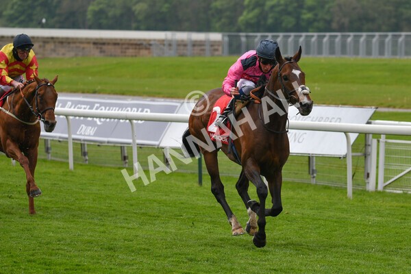 yr14052021r4-21 - Race 4 3.10pm The Matchbook Yorkshire Cup