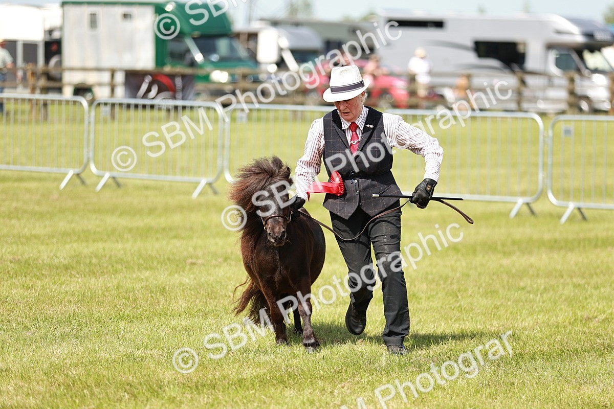 SBM_02442 - Class 14-23 - Mountain & Moorland In Hand Non Welsh