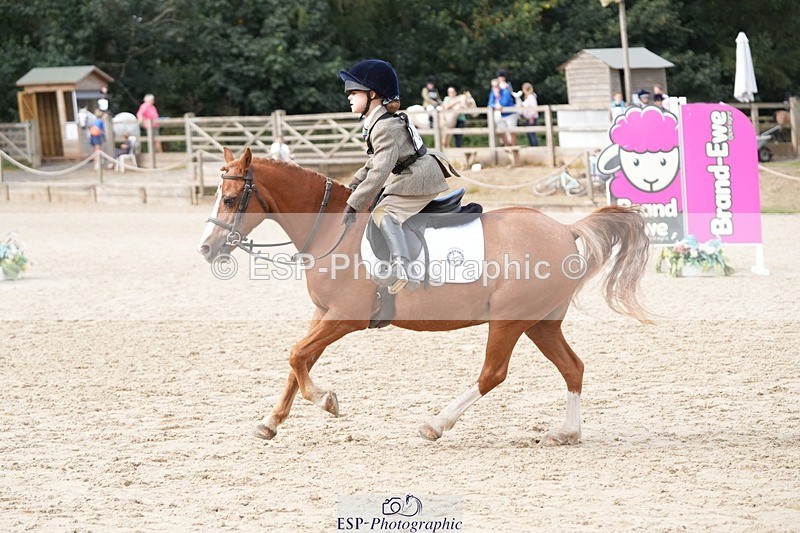 250821A-103442-14103 - WC Round 2 10.00 to 11.00