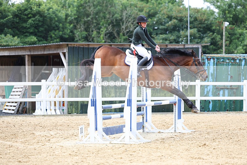 3E7A3290 - Class 4: Senior British Novice/90cm open