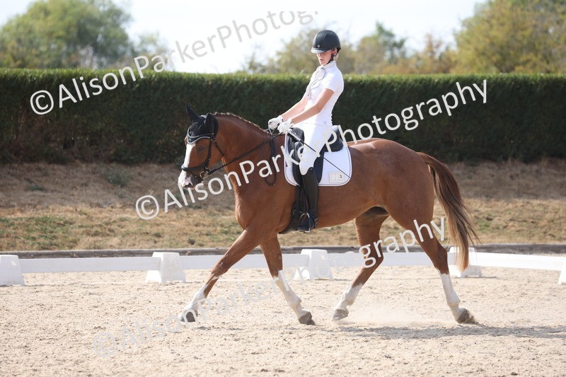 20260815-1130 - Class 6 - Novice 2