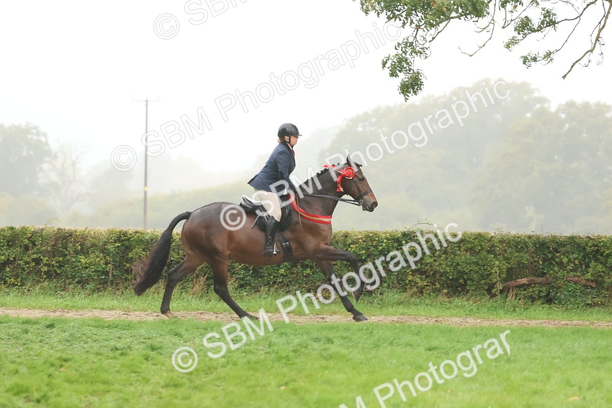 SBM_73223 - Super Supreme Championship(Sun)