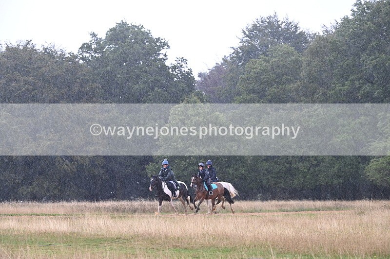 DSC_3039 - Time at Statue 12:59 to 13:49