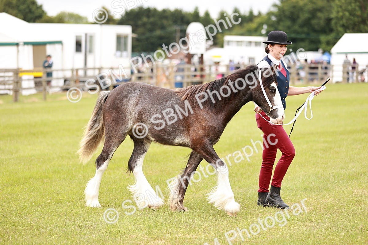 SBM_04549 - Class 5-8 - BSPA In hand