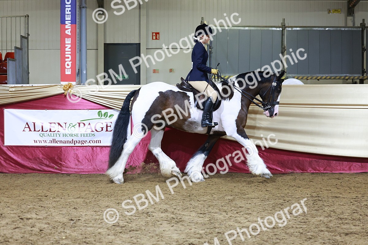 SBM_21365 - Class T - Working Veteran Champs