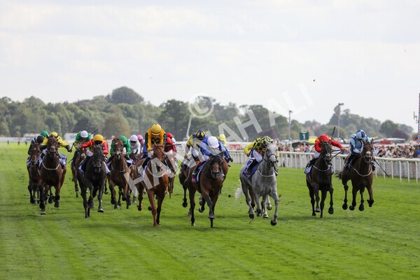 yr20082022r4-190 - Race 4 3.35pm Sky Bet Ebor