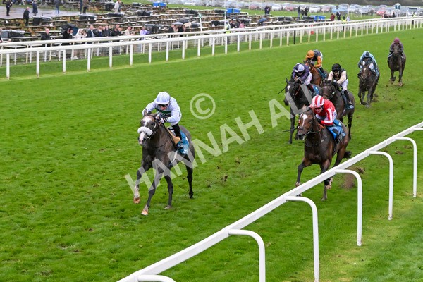 121024-Race 5-Almeric-3275 - Race 5 3.55pm Coral Racing Club EBF Maiden Stakes