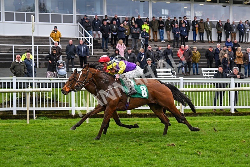  - Race 5