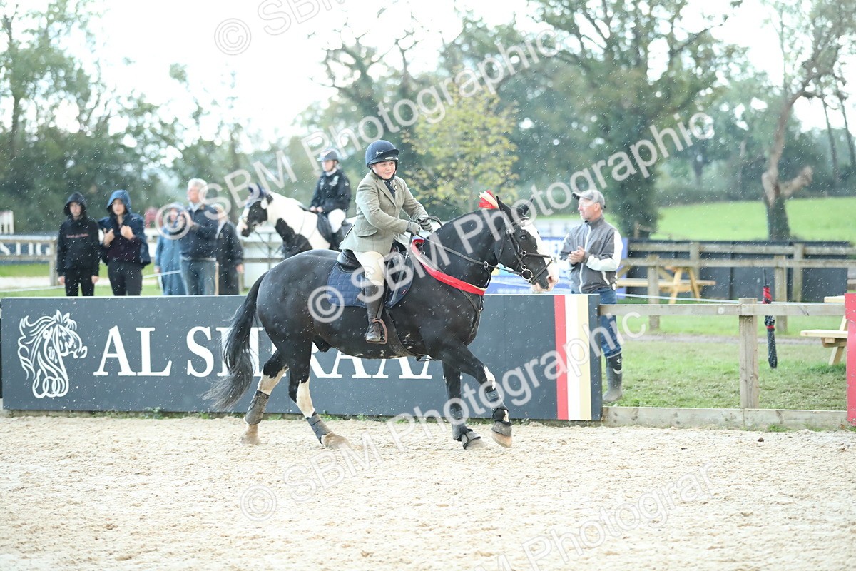 SBM_53793 - Supreme Championship 65cm 70cm