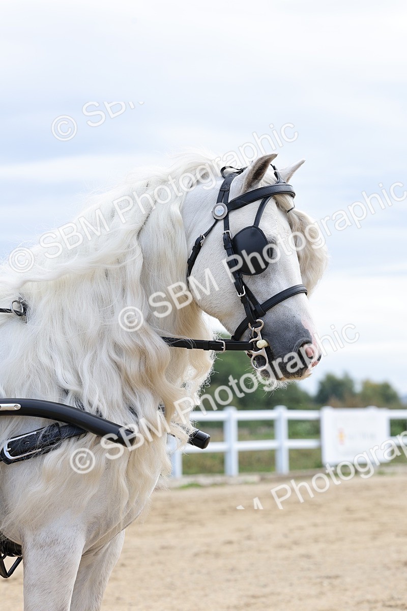 SBM_000450 - Class 4 - Junior Whip